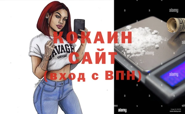 2c-b Горно-Алтайск