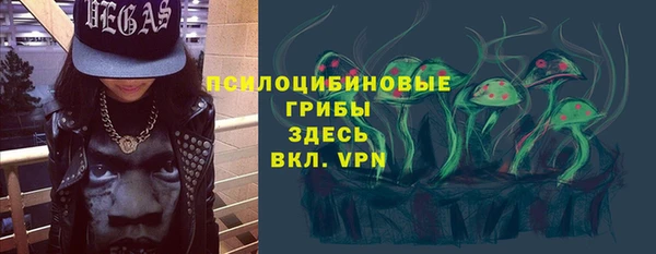 a pvp Горняк