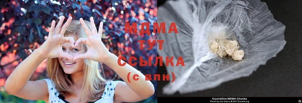 шишки Гусев