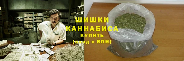 кристаллы Гусь-Хрустальный