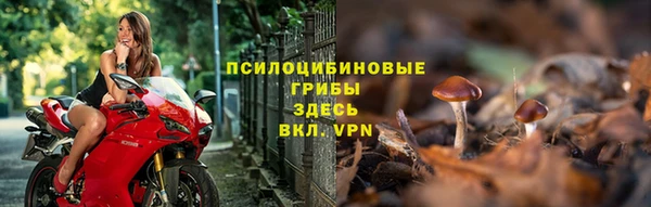трава Гусиноозёрск