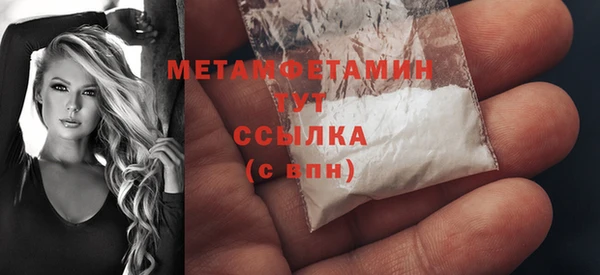 шишки Гусев