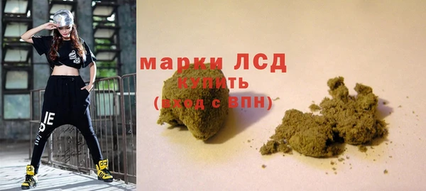 шишки Гусев