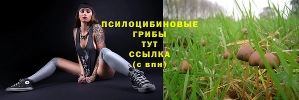 a pvp Горняк