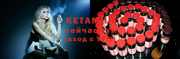 2c-b Горно-Алтайск
