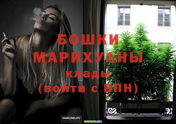 шишки Гусев