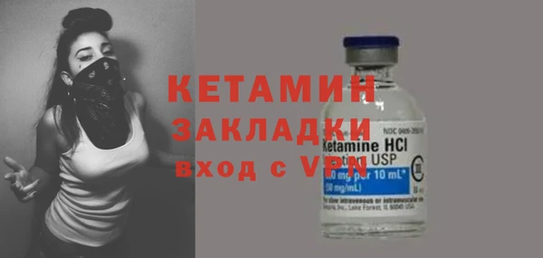 шишки Гусев