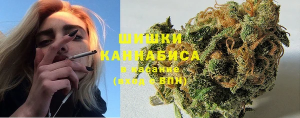 кристаллы Гусь-Хрустальный