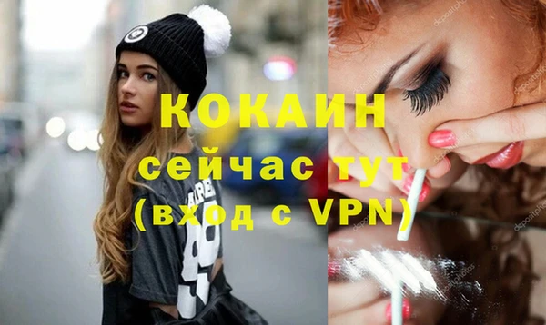 трава Гусиноозёрск