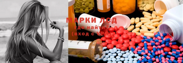 трава Гусиноозёрск