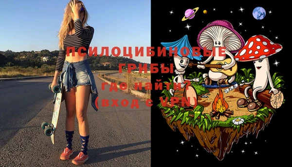 шишки Гусев