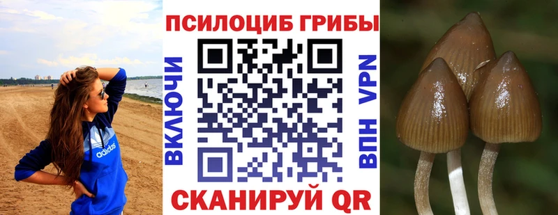 Псилоцибиновые грибы MAGIC MUSHROOMS  наркота  Златоуст 